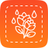 rosewater